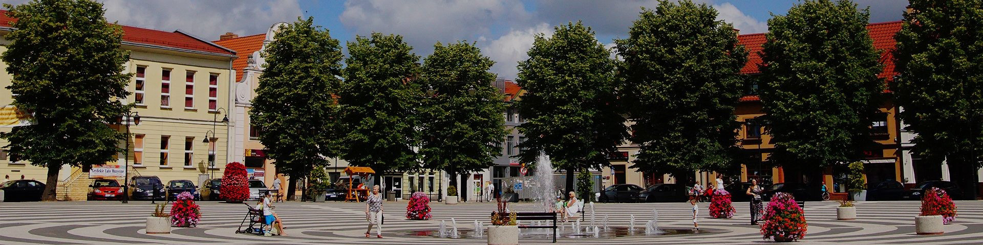 Zobacz Więcej